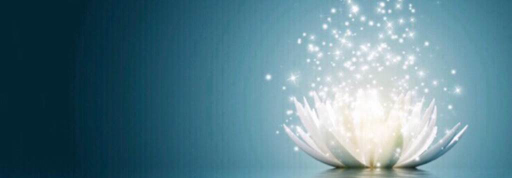 banner-1