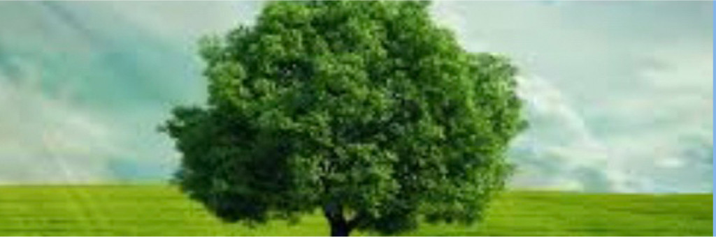 Nature-2